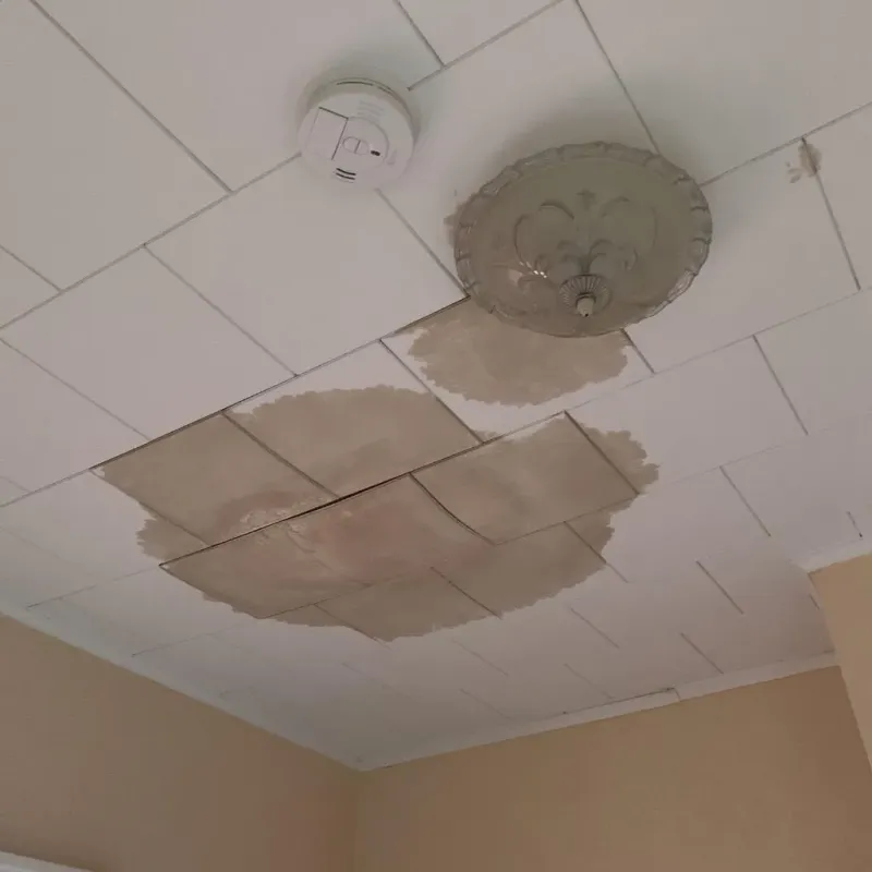 Ceiling Water Damage Repair in Cross Plains, TN