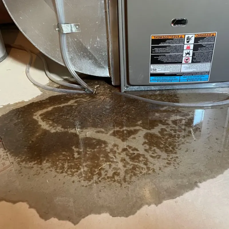 Pipe Burst and Leak Restoration in Cross Plains, TN