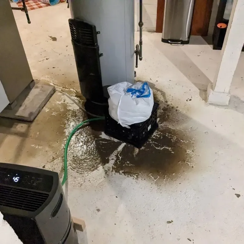 Sewage Backup Cleanup Service in Cross Plains, TN